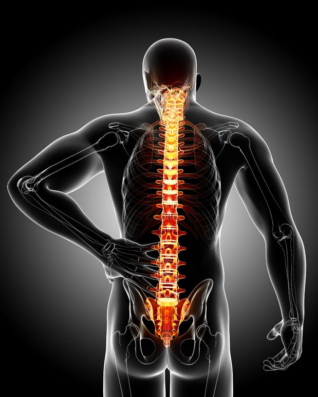 Pinpoint enestående kvarter Back Injuries: Back Sprain Symptoms and Treatment
